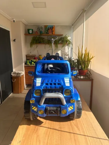 Carrinho infantil com buzinas