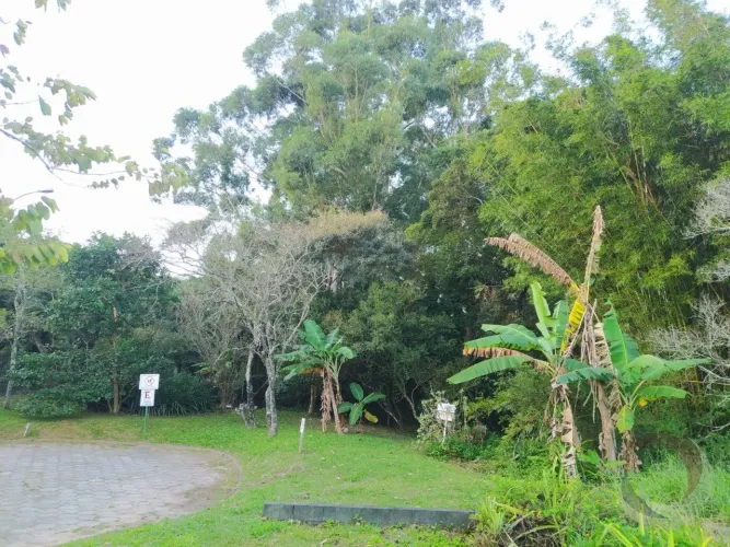 Terreno de 819m² no bairro Rio Tavares