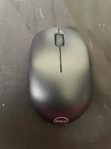 Mouse