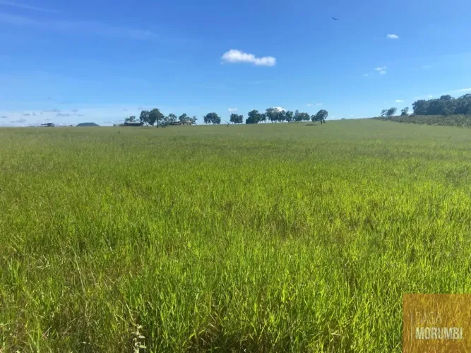 Oportunidade única: Fazenda à venda em Camapuã-MS, 183,40 m² de área no bairro.