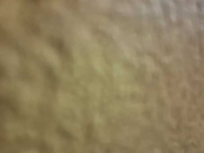 Serviço de pintura residêncial.