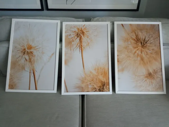 Quadros decorativos  tamanhos 0,40 por 0,60 cm.