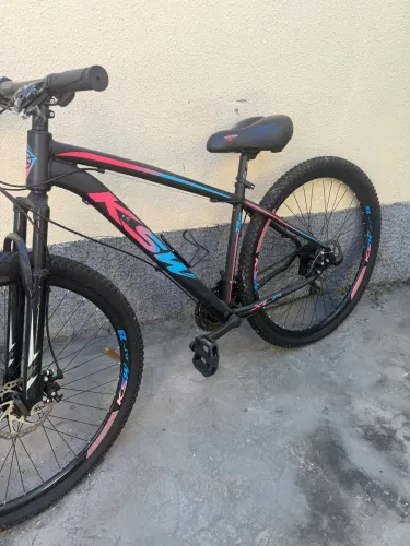 Bicicleta Adulto 