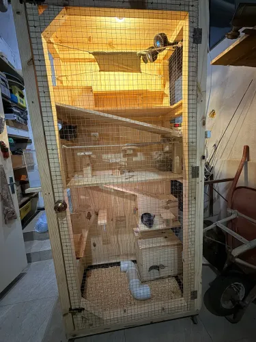 Gaiola para animais