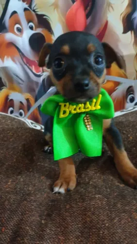 Que fofura ?