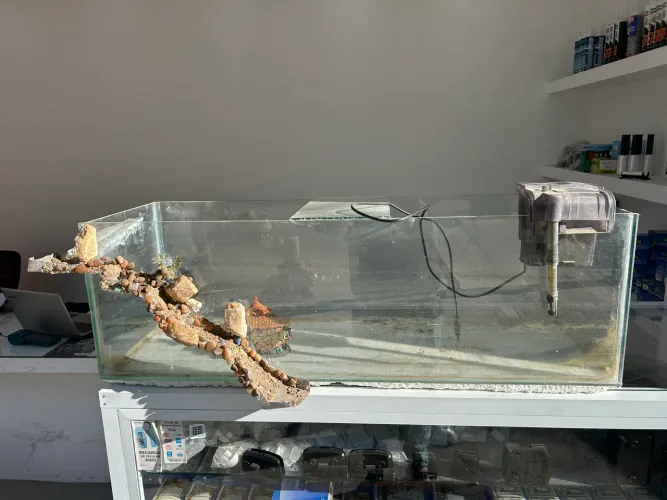Vendo aquário