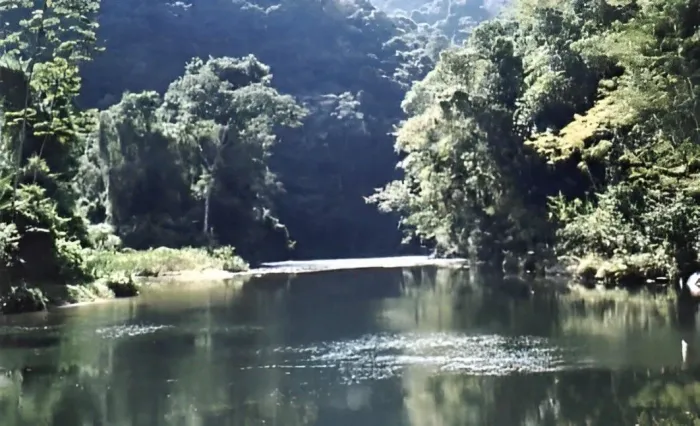 FAZENDA 808 ha - COMPENSAÇÃO AMBIENTAL - CRÉDITO DE CARBONO - MATA ATLÂNTICA - ESTADO SP
