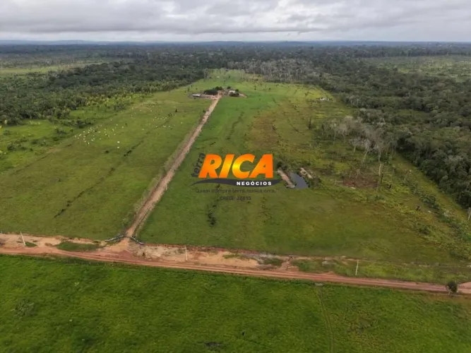 Fazenda à venda na linha Caracolzinho, km 87 - Porto Velho/RO