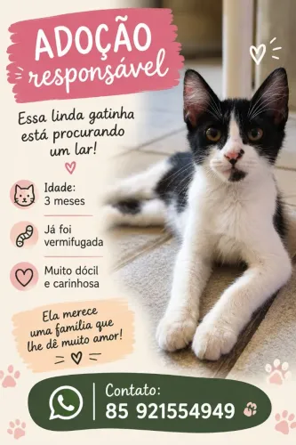 Adoção responsável