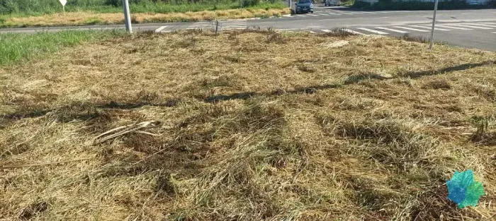 Terreno à venda, 190 m² por R$ 180.200,00 - Loteamento Terras de São Pedro e São Paulo - S