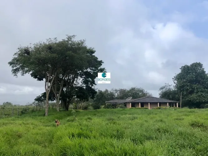 FAZENDA RURAL em PIRITIBA - BA, Tapiramuta
