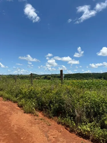 Fazenda Goianapolis