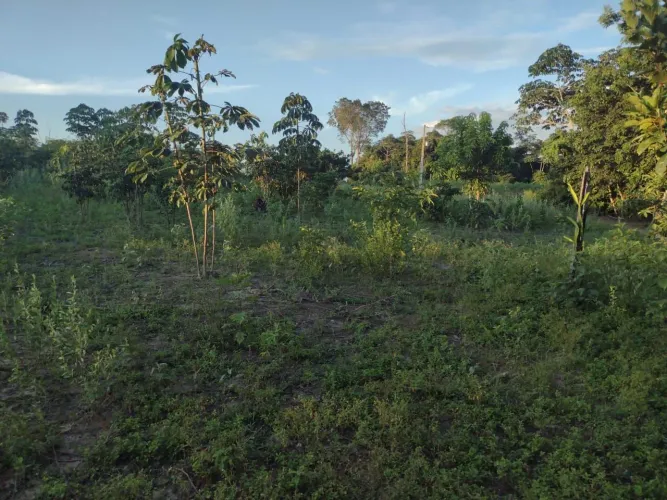 Chácara no Serra Grande 2