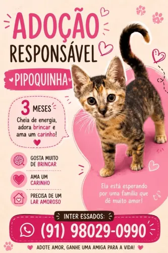 Adote pipoquinha 
