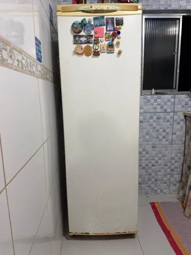 FREEZER VERTICAL USADO - ELECTROLUX