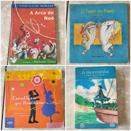 Lote 10 Livros Paradidáticos