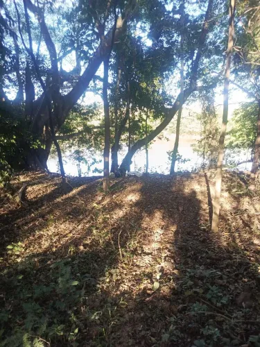 Chácara no Rio São Francisco