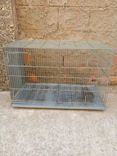Gaiola de pássaro 