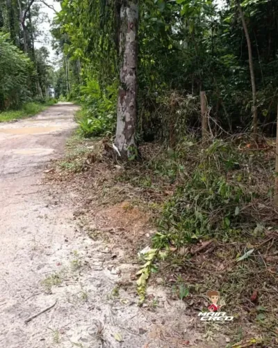 Lote para Venda em Porto Seguro, Trancoso