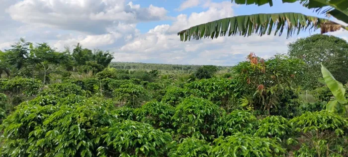 Vendo terreno rural