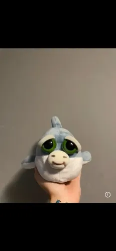 Feisty tubarão novo