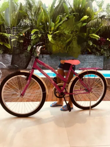 Bicicleta infanto juvenil aro 24