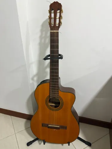 Takamine EG124C