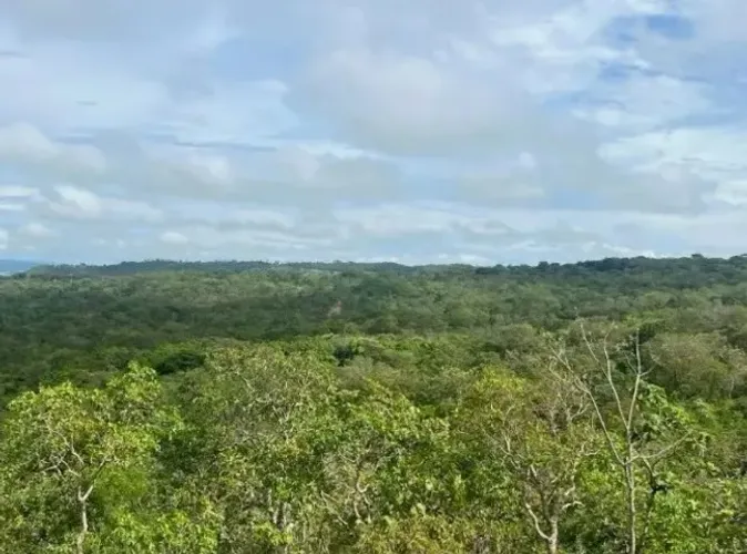 Chácara Meio Alqueire, 24.200m², Arborizada, Terra Ondulada, Local Tranquilo, Aragoiânia