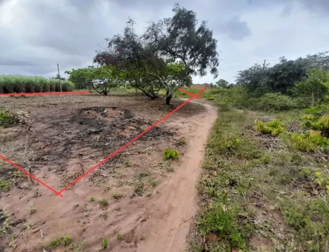Terreno em Pureza RN 19x26 troco moto ou carro 