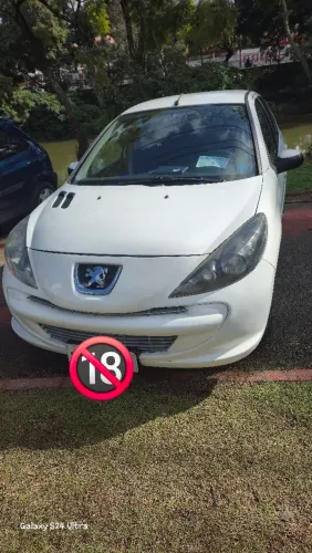 Peugeot 207 XR 1.4 Flex 8V 5P 2012