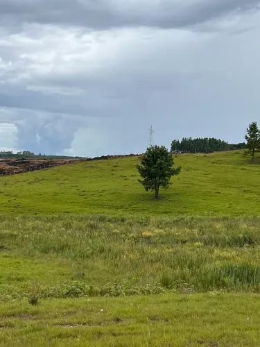 6,8 hectares nos Campos de cima da Serra 