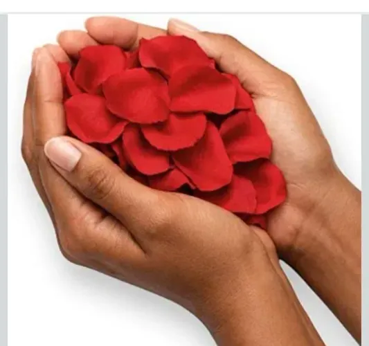 Pétalas Rosa Fake - Dia dos Namorados, decoração