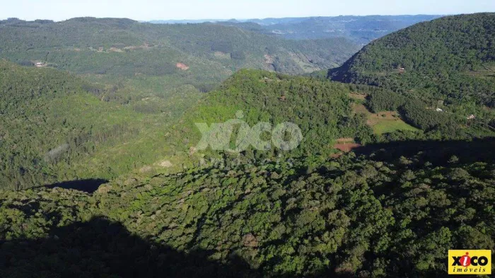 SÍTIO / CHÁCARA PARA VENDA EM NOVA PETRÓPOLIS / RS NO BAIRRO FAZENDA PIRAJÁ