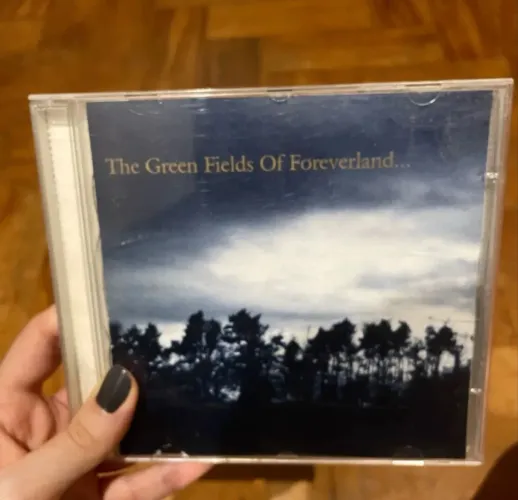 CD The Gentle Waves (da ex-integrante<br>de Belle and Sebastian) FOLK ROCK