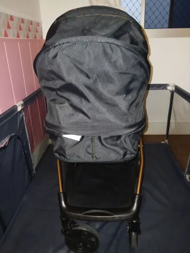 Carrinho de bebê "Moisés"
