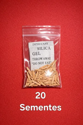 Rosa do deserto - kit 20 sementes