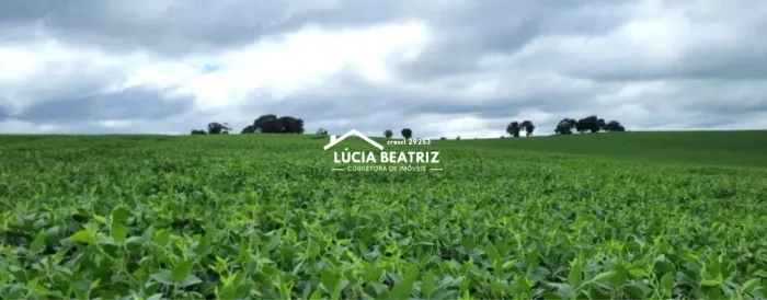 Excelente Oportunidade! Linda Fazenda com 40,11 Hectares, em Turvolândia/MG