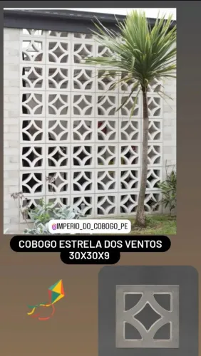 COBOGO ESTRELA DOS VENTOS 30X30X9