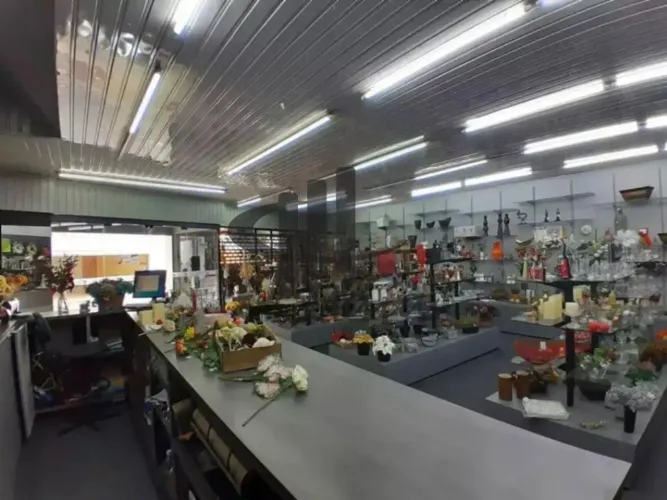Locação Prédio Comercial Sao Caetano do Sul Santa Paula Ref: 47010
