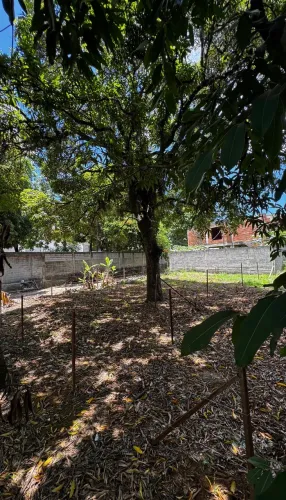 LOTE TERRENO ESCRITURADO EM SAO GERALDO CARIACICA