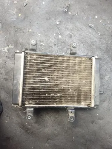 Radiador de água da Dafra citycon 300