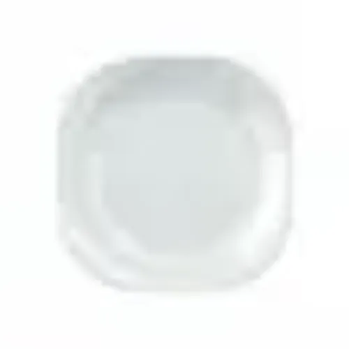 Pratos Rasos Vidro Opaline 30cm - Comida a kg