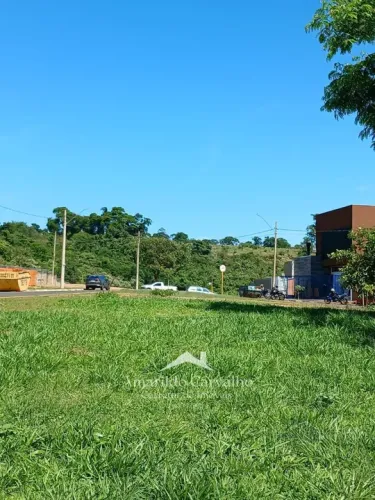 Vende ótimo terreno, parte alta, 255m na melhor na melhor localização do Jd Sta Mônica.