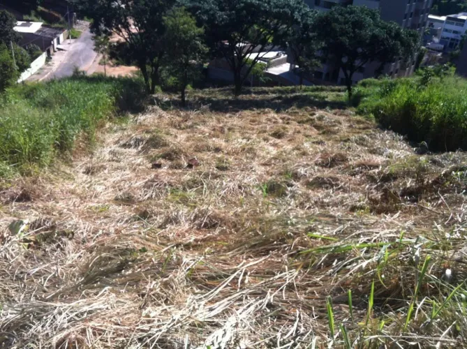 Terreno à venda, 1018 m² - Buritis - Belo Horizonte/MG