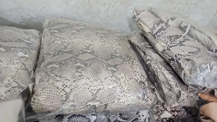 IMPERDIVEL 5 KILOS DE RETALHOS DE COUROS LEGITIMOS DE COBRA OU BICHOS