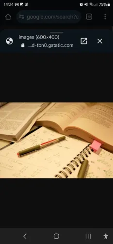 Aulas particulares individuais Inglês Japonês Matemática Física Financeira