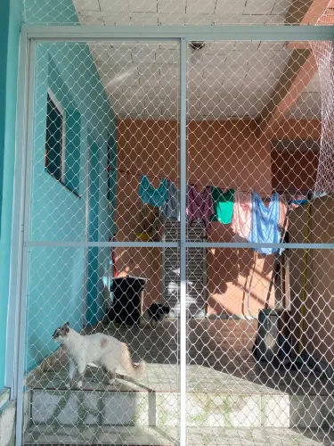 TELA DE PROTEÇÃO / TELA MOSQUITEIRO / CONCERTINA/ SERVIÇOS DE FAZ TUDO