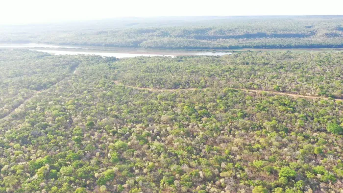 440 ha de chapada Divisa do Rio 