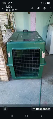 Gaiola para animais de grande porte