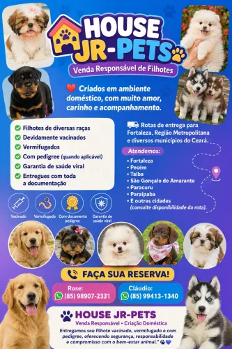 Filhotes